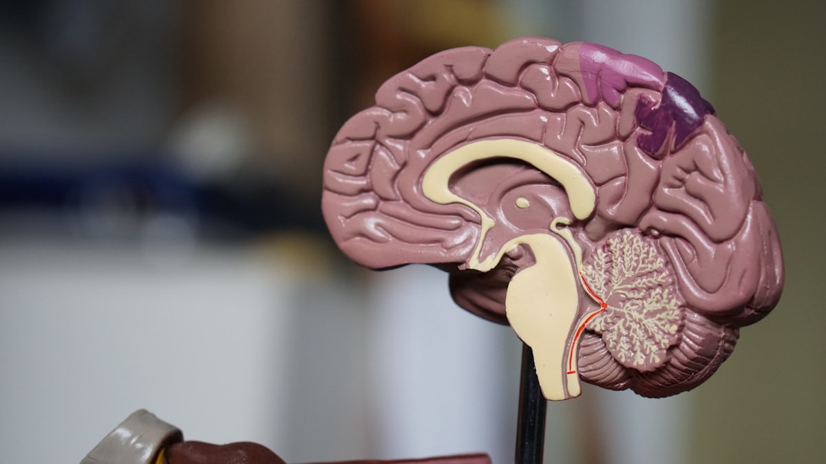 Intravarsity pharmaceutical portfolio - cns-neurology